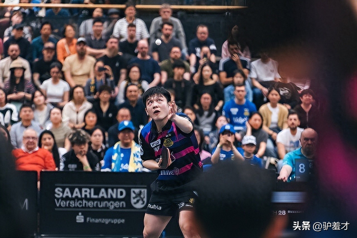 樊振东转型投资人影响力跨越乒坛与商业领域