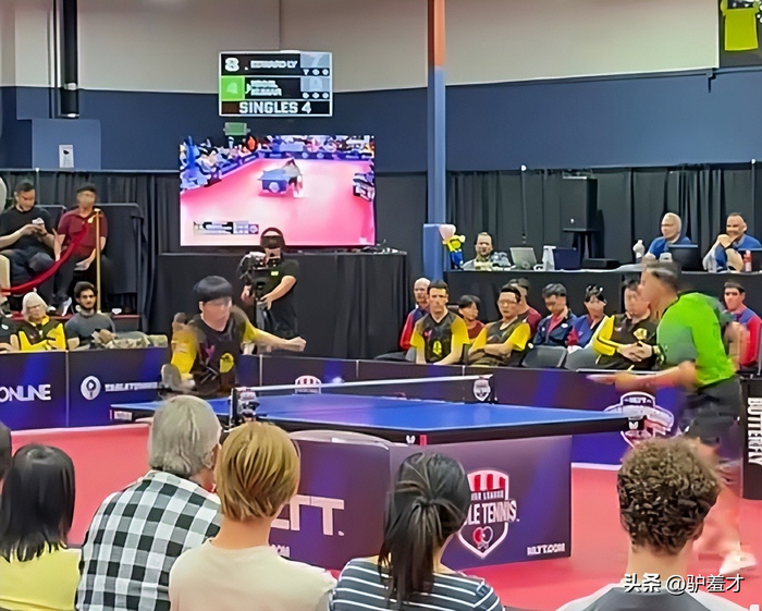 樊振东转型投资人影响力跨越乒坛与商业领域