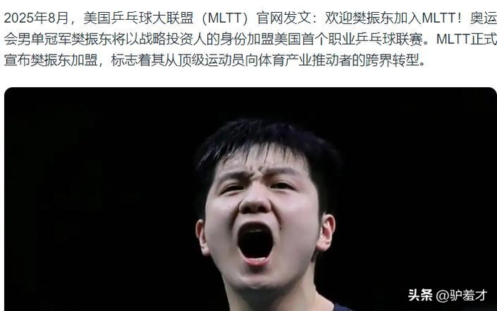 樊振东转型投资人影响力跨越乒坛与商业领域