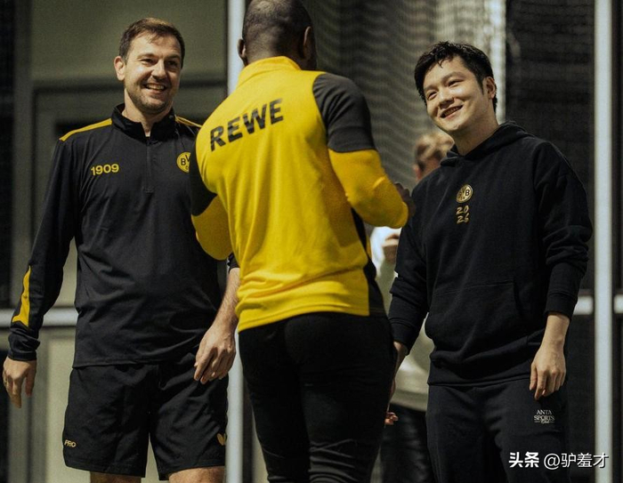 樊振东转型投资人影响力跨越乒坛与商业领域