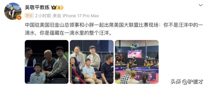 樊振东转型投资人影响力跨越乒坛与商业领域